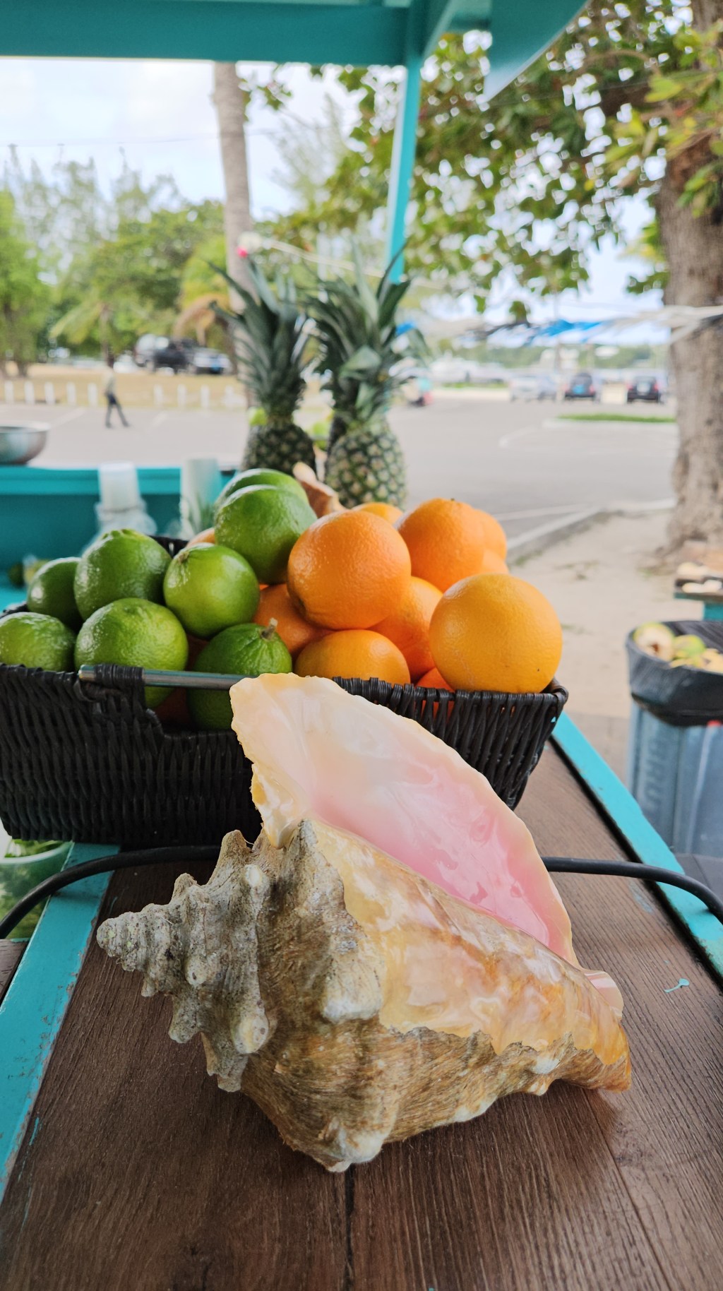 Solo Traveler’s Guide: Exploring with Confidence and&nbsp;Purpose