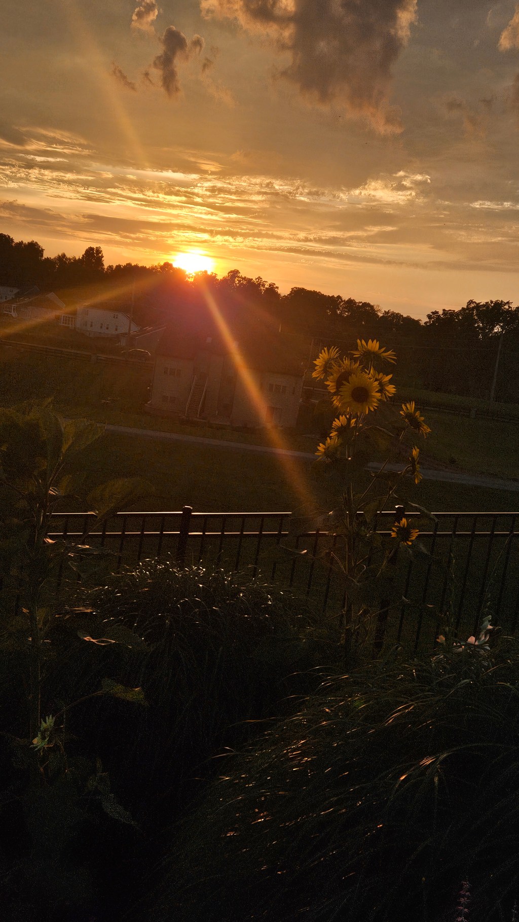 Beat the Summer Heat with Family Friendly&nbsp;Experiences